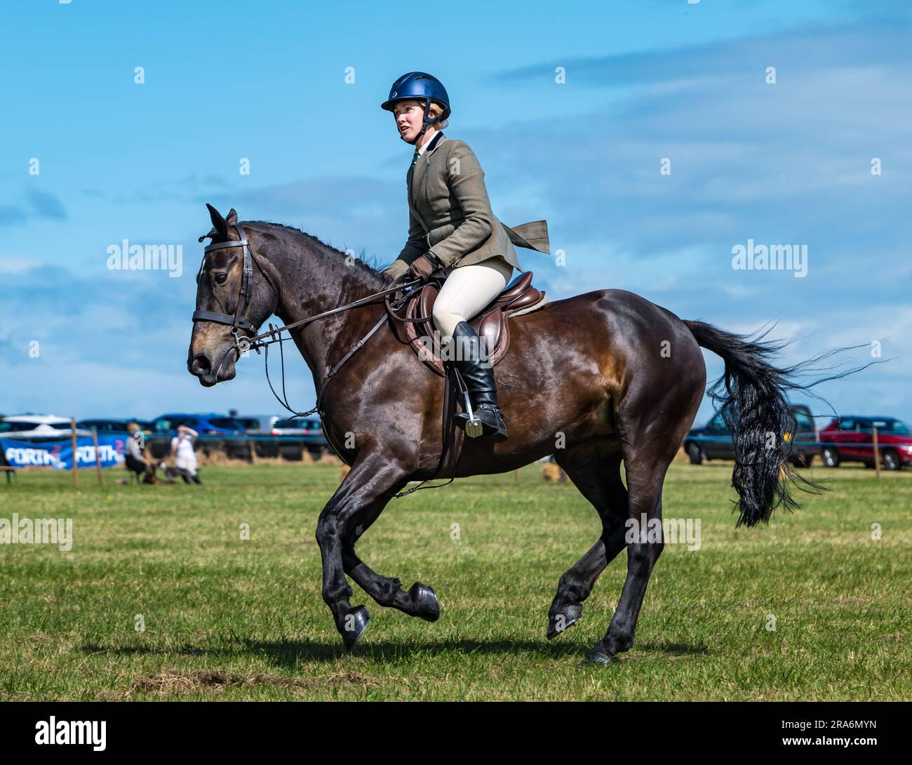 East Lothian, Écosse, Royaume-Uni, 1 juillet 2023. Haddington Agricultural Show : l'événement a lieu depuis 1804. Les participants ont apprécié une journée ensoleillée. Sur la photo : une des tournées du spectacle équestre avec une femme montée à cheval. Crédit : Sally Anderson/Alamy Live News Banque D'Images