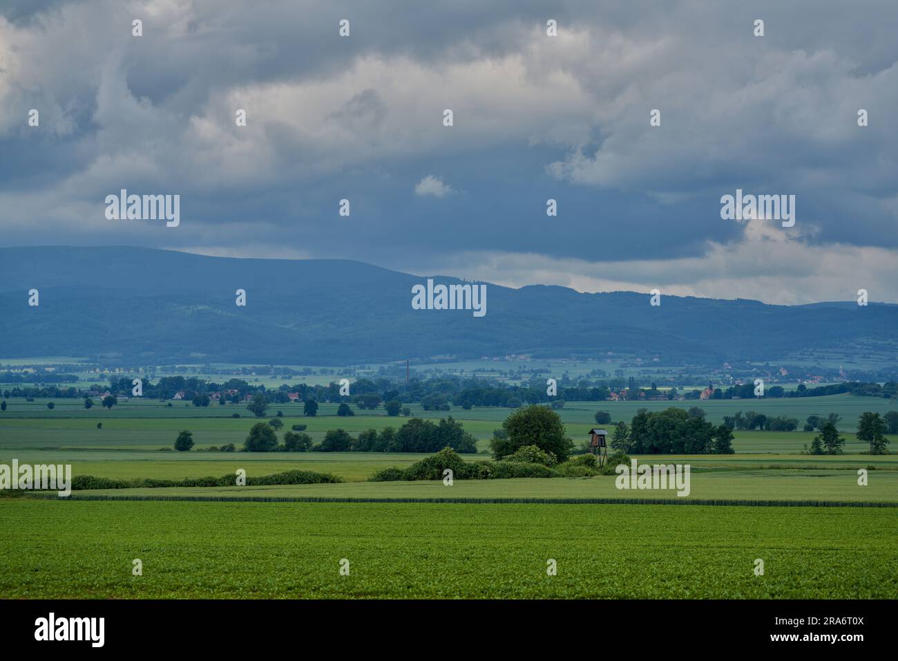 Plusieurs nuances de vert sous le ciel orageux dans le paysage rural de juin montagnes Owl Basse Silésie Pologne Banque D'Images
