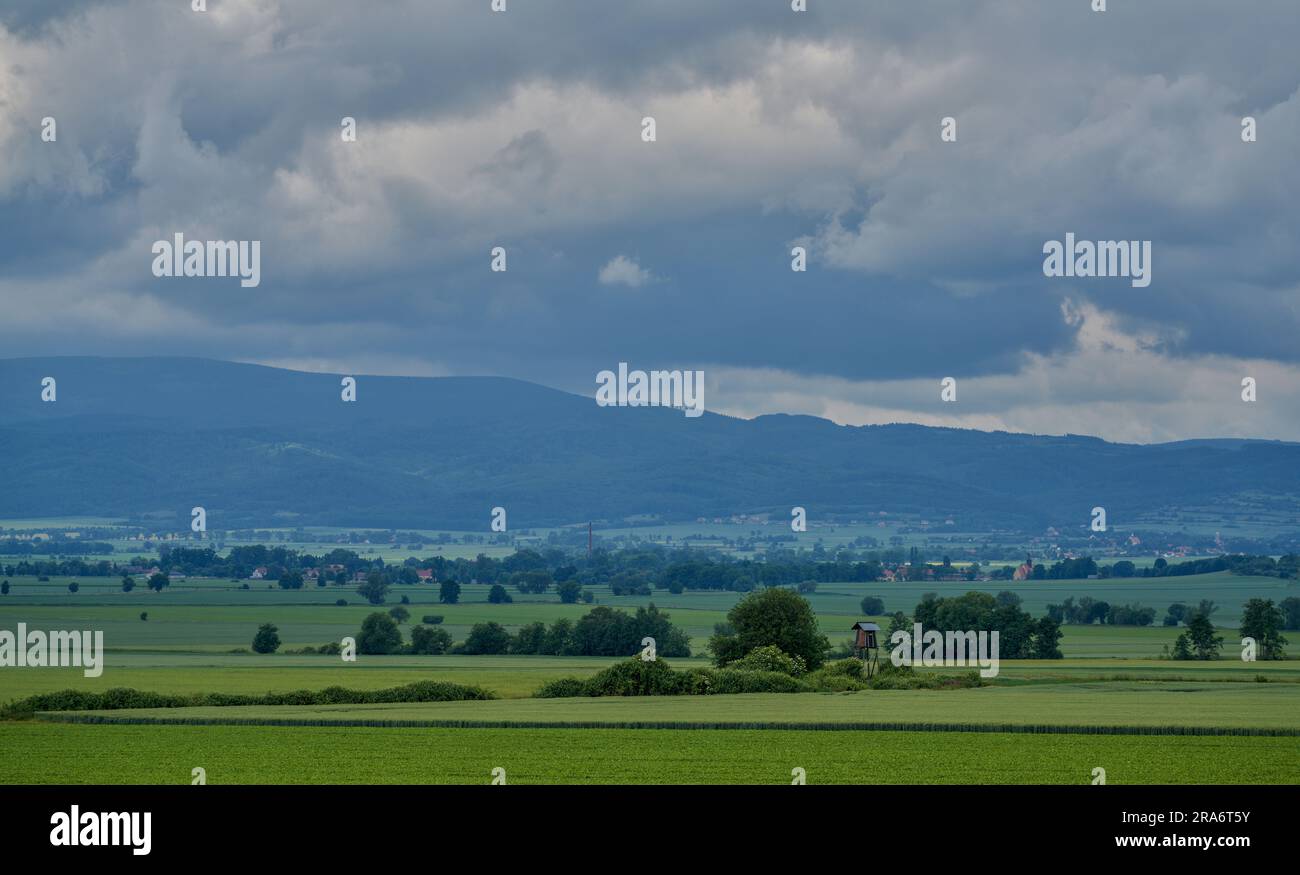 Plusieurs nuances de vert sous le ciel orageux dans le paysage rural de juin montagnes Owl Basse Silésie Pologne Banque D'Images