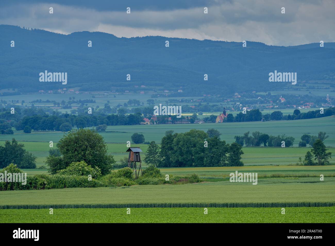 Plusieurs nuances de vert sous le ciel orageux dans le paysage rural de juin montagnes Owl Basse Silésie Pologne Banque D'Images