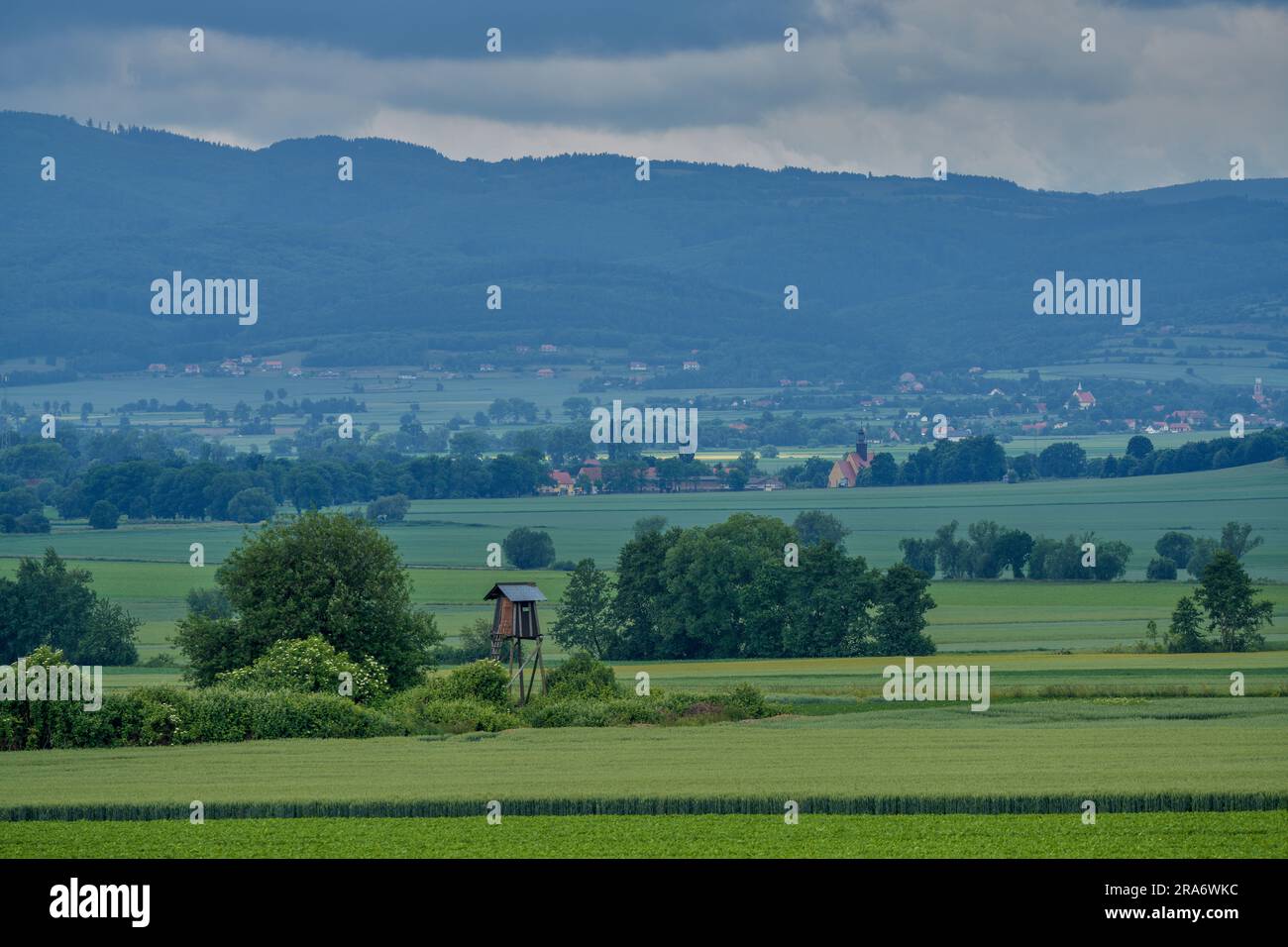 Plusieurs nuances de vert sous le ciel orageux dans le paysage rural de juin montagnes Owl Basse Silésie Pologne Banque D'Images