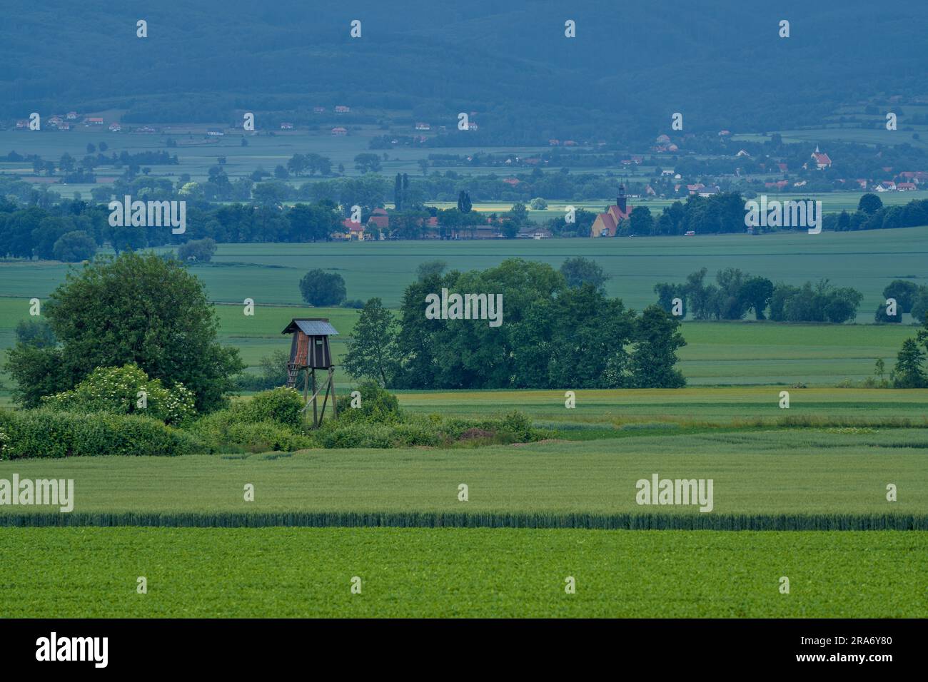Plusieurs nuances de vert sous le ciel orageux dans le paysage rural de juin montagnes Owl Basse Silésie Pologne Banque D'Images