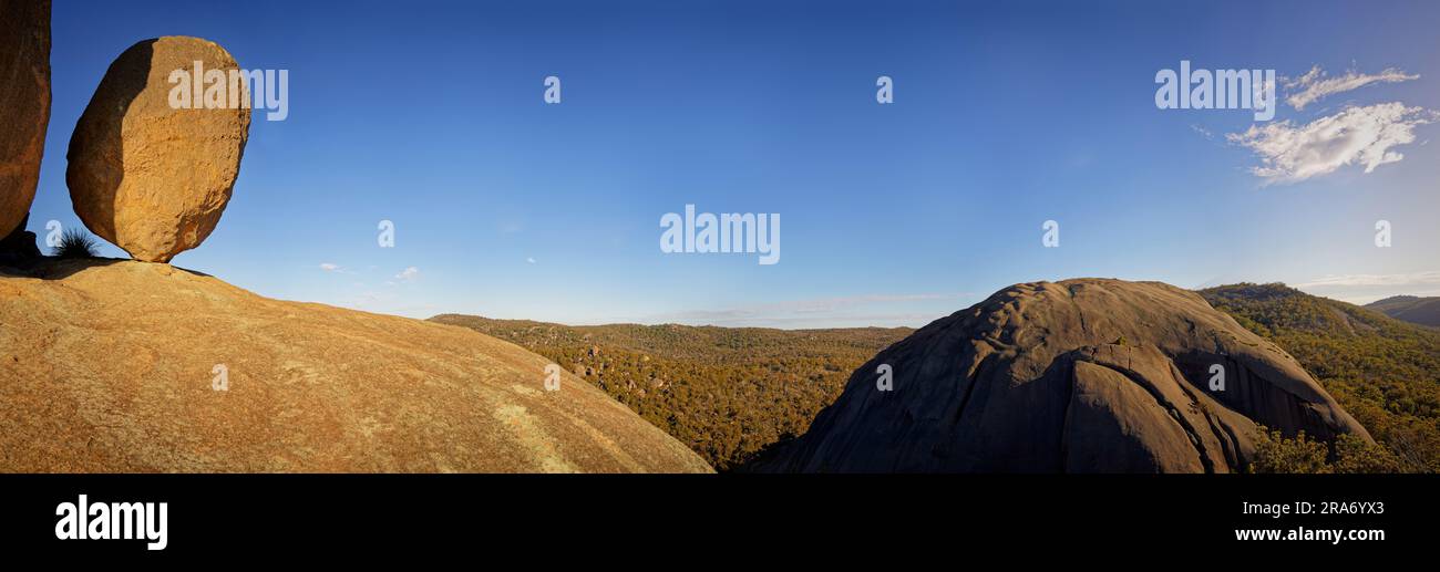 Parc national Girraween de la ceinture de Granite dans la région de Darling Downs du Queensland en Australie réservé comme parc national, spectaculaire fleur Banque D'Images