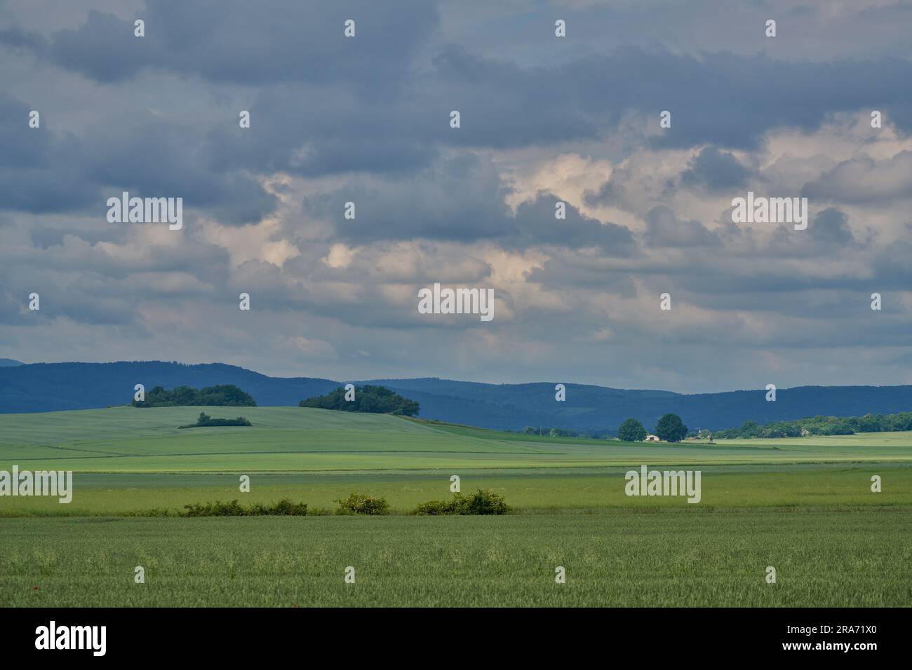 Plusieurs nuances de vert sous le ciel orageux dans le paysage rural de juin montagnes Owl Basse Silésie Pologne Banque D'Images
