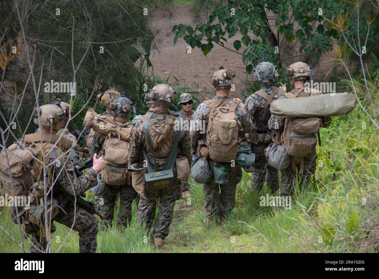 ÉTATS-UNIS Les Marines avec le Bataillon d'instruction d'infanterie avancée, École d'infanterie-Ouest, détachement d'Hawaï, reçoivent une classe sur les caractéristiques de terrain favorables pour les embuscades lors d'un cours maritime d'infanterie avancée, zone d'entraînement de Kahuku, Hawaï, 26 juin 2023. L’AIMC est une formation d’infanterie avancée conçue pour améliorer et tester les compétences de Marines en mettant l’accent sur le renforcement des patrouilles et des procédures opérationnelles appropriées. (É.-U. Photo du corps marin par le caporal Terry Stennet III) Banque D'Images