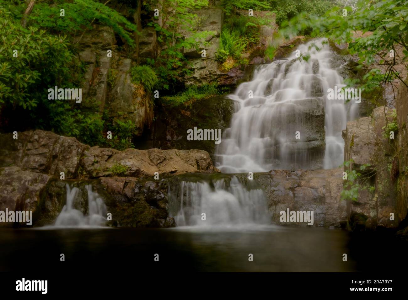 chutes d'eau en cascade sur des rochers jusqu'à une piscine sombre dans un endroit isolé dans des bois entourés de feuillage vert Banque D'Images