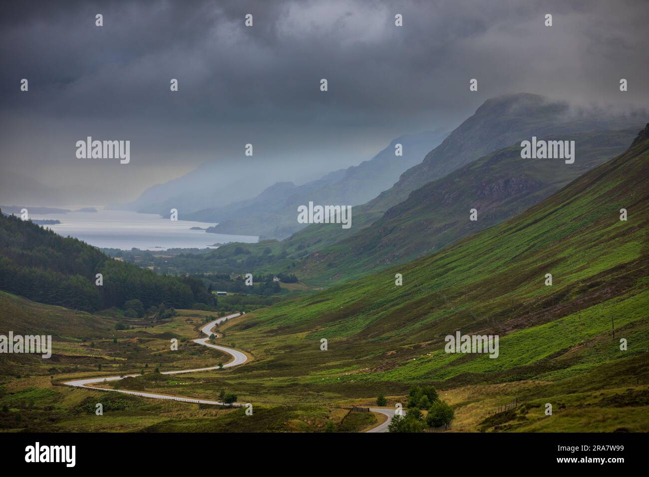 Loch Maree vue de Glen Docherty, NCC500, Scottish Highlands Banque D'Images