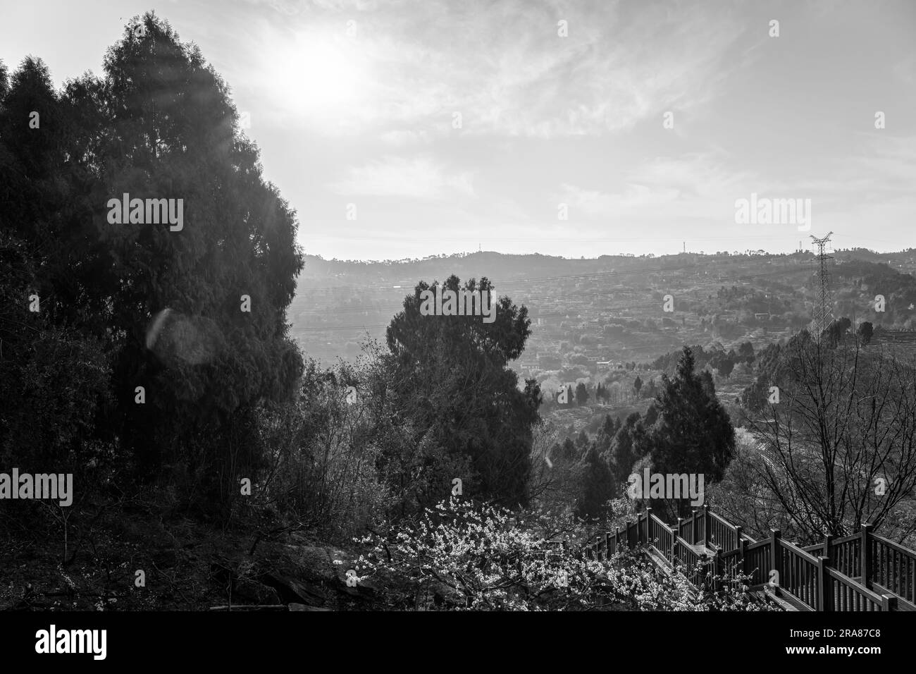 Les montagnes en noir et blanc Banque D'Images