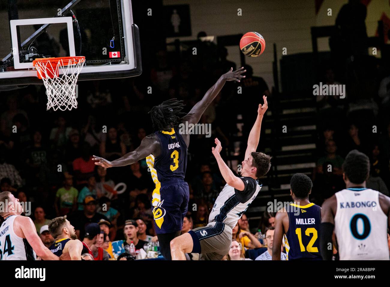 Edmonton, Canada. 29th juin 2023. Edmonton Stinger's (3) Aher Aguak (F) bloque un tir de Gedi Juozapaitis (F) de Scarborough (22) en 2023 CEBL action contre les étoiles de tir de Scarborough. Score final; Scarborough Shooting Stars 91:89 Edmonton Stingers Credit: SOPA Images Limited/Alay Live News Banque D'Images