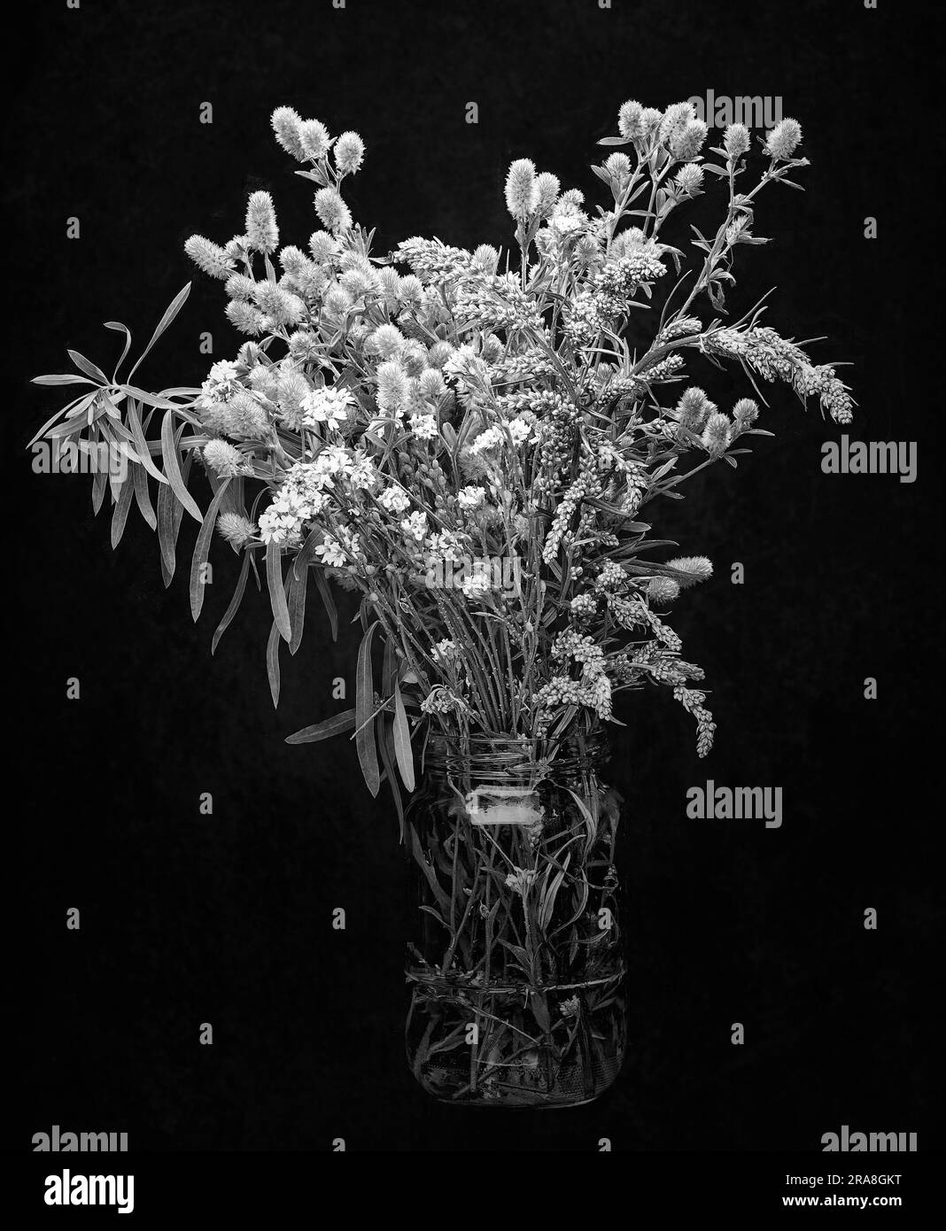 Un bouquet de fleurs et plantes sauvages de la prairie, dans un bocal en verre, isolé sur fond noir Banque D'Images
