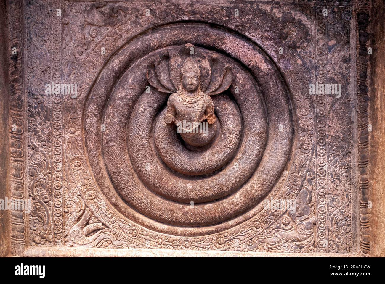 Serpent enroulé, sculpture au plafond dans la grotte 1, Badami, karnataka, Inde du Sud, Inde, Asie Banque D'Images