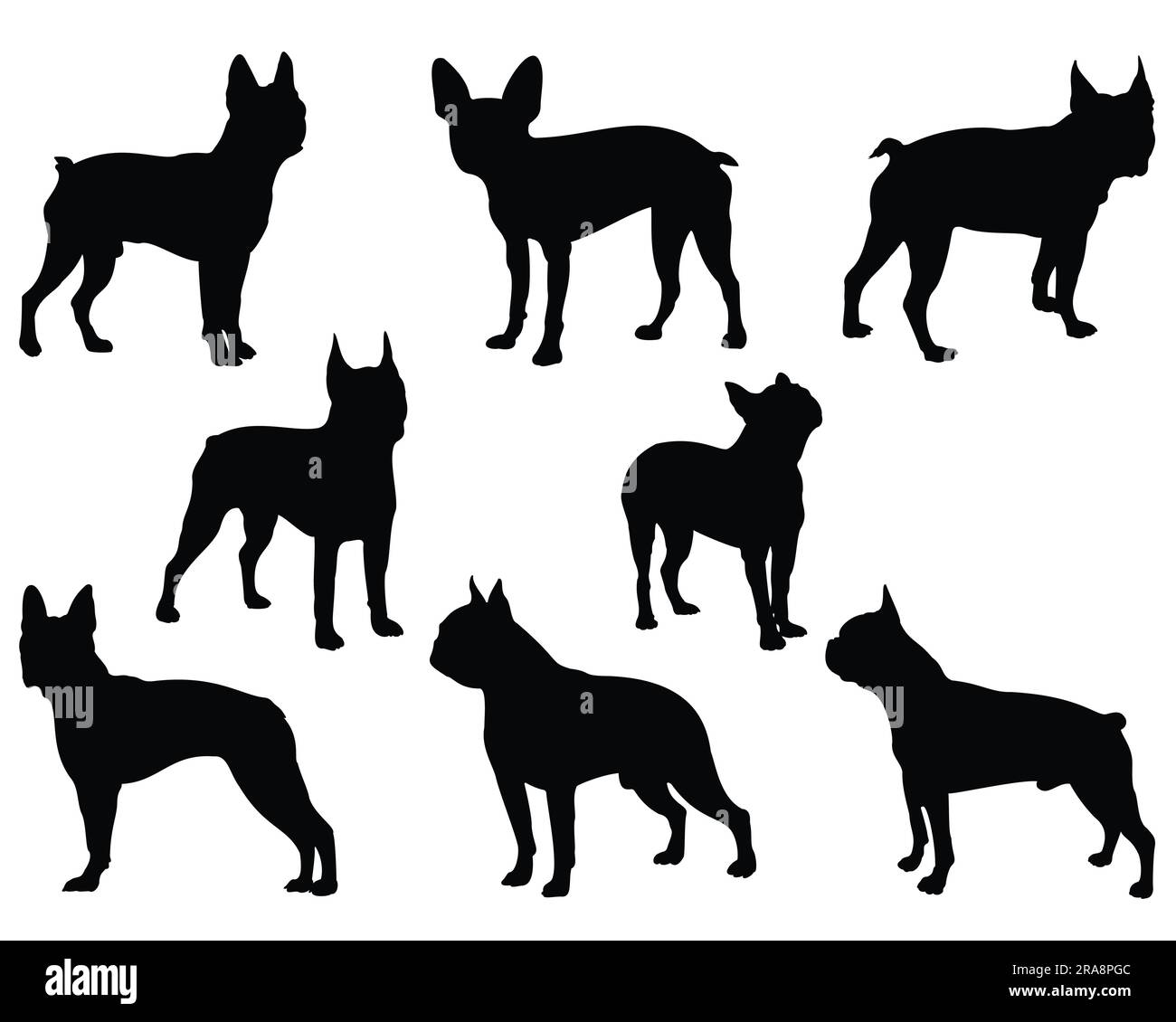 Ensemble de Boston Terrier Dog Silhouette Illustration de Vecteur