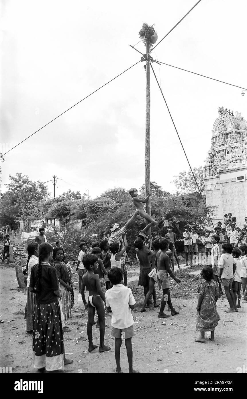 Photo en noir et blanc, Vazhukku Maram est un sport traditionnel qui se joue au Tamil Nadu, en Inde, en Asie. Un long poteau d'arbre d'areca est entièrement appliqué avec Banque D'Images