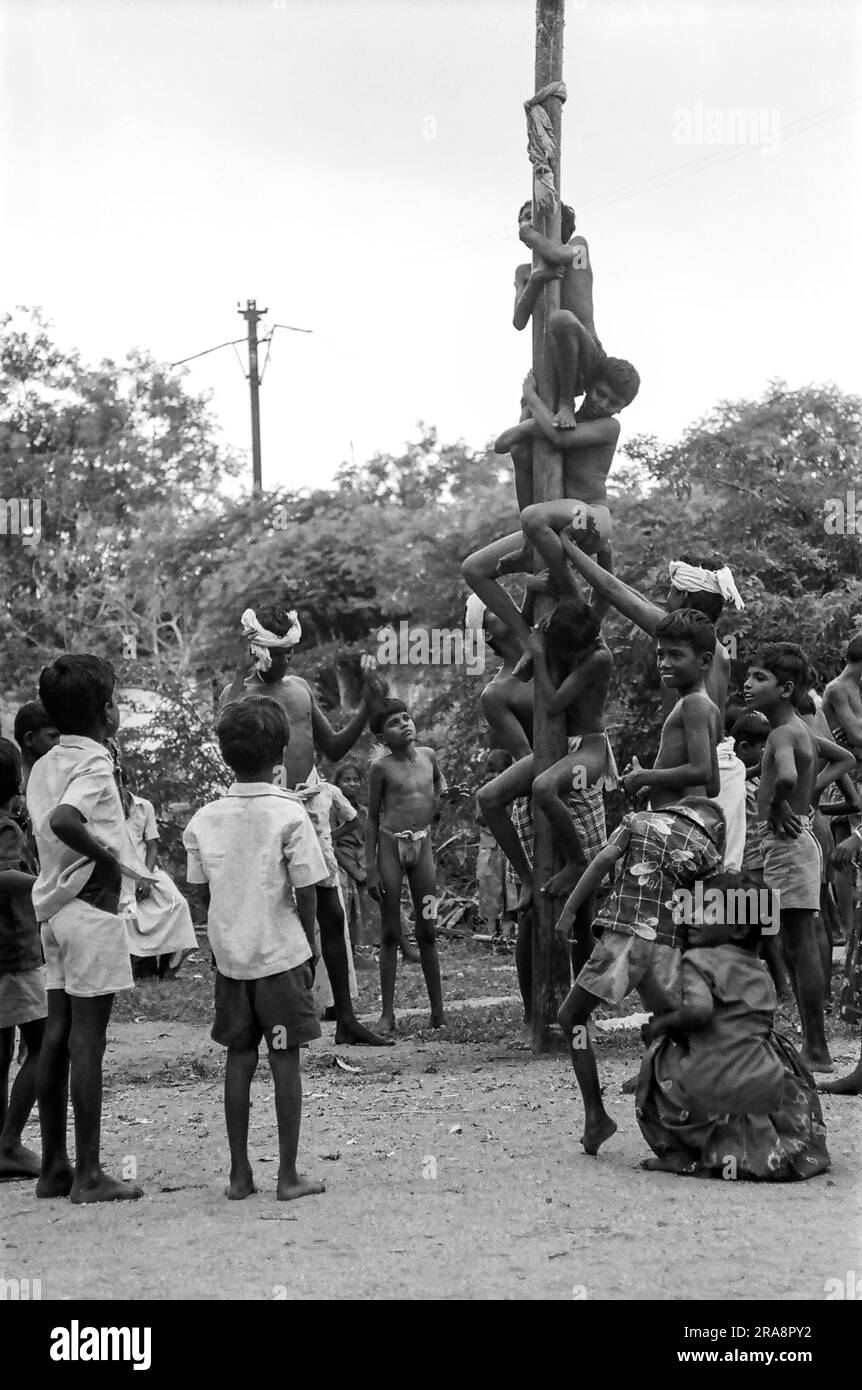 Photo en noir et blanc, Vazhukku Maram est un sport traditionnel qui se joue au Tamil Nadu, en Inde, en Asie. Un long poteau d'arbre d'areca est entièrement appliqué avec Banque D'Images