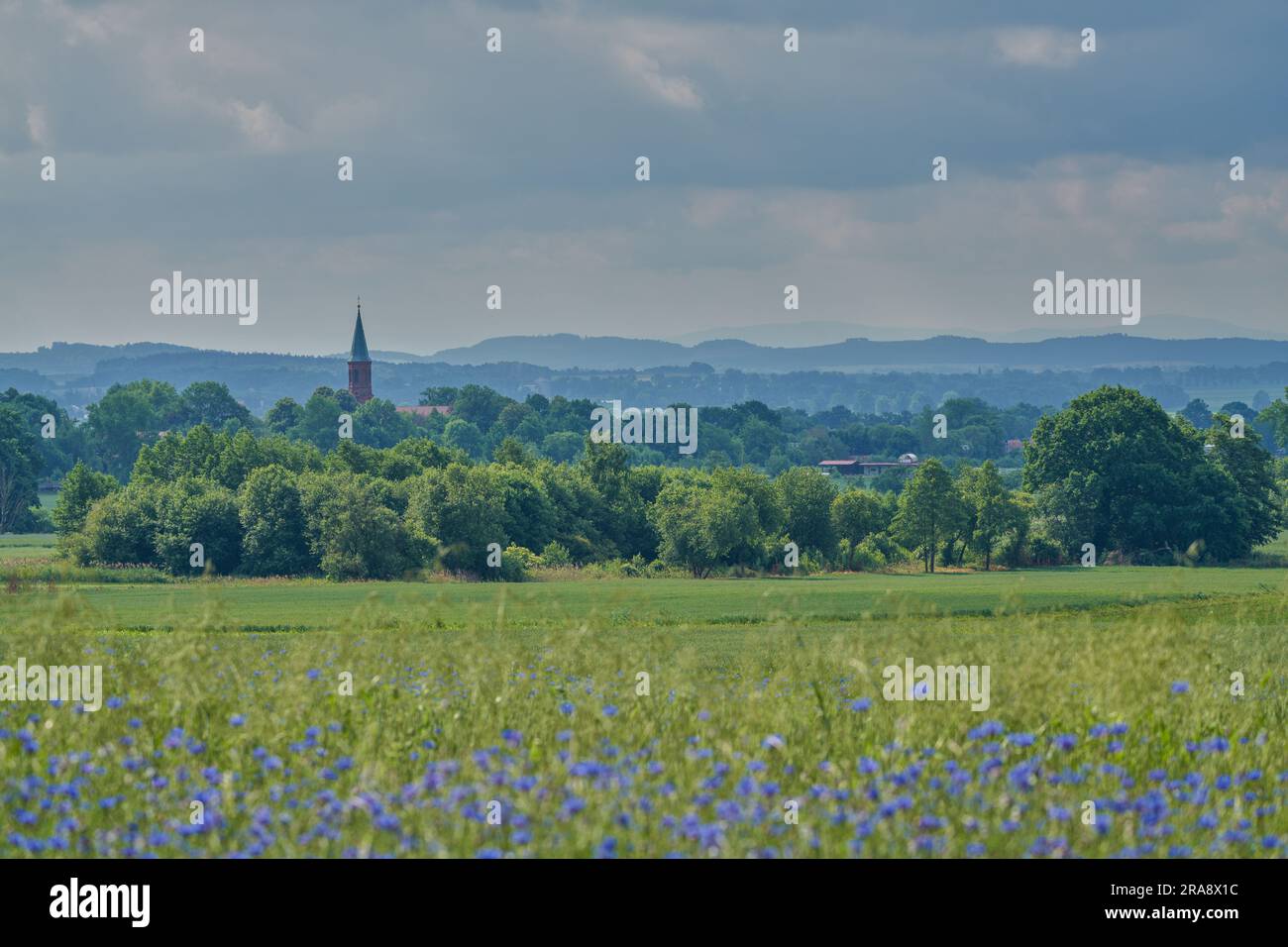 Plusieurs nuances de vert sous le ciel orageux dans le paysage rural de juin montagnes Owl Basse Silésie Pologne Banque D'Images