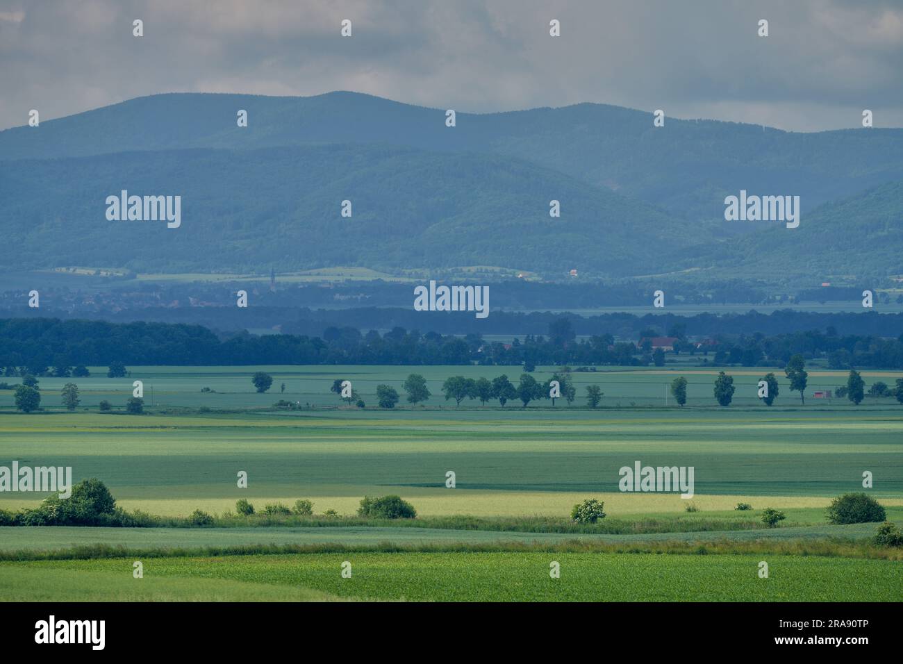 Plusieurs nuances de vert sous le ciel orageux dans le paysage rural de juin montagnes Owl Basse Silésie Pologne Banque D'Images
