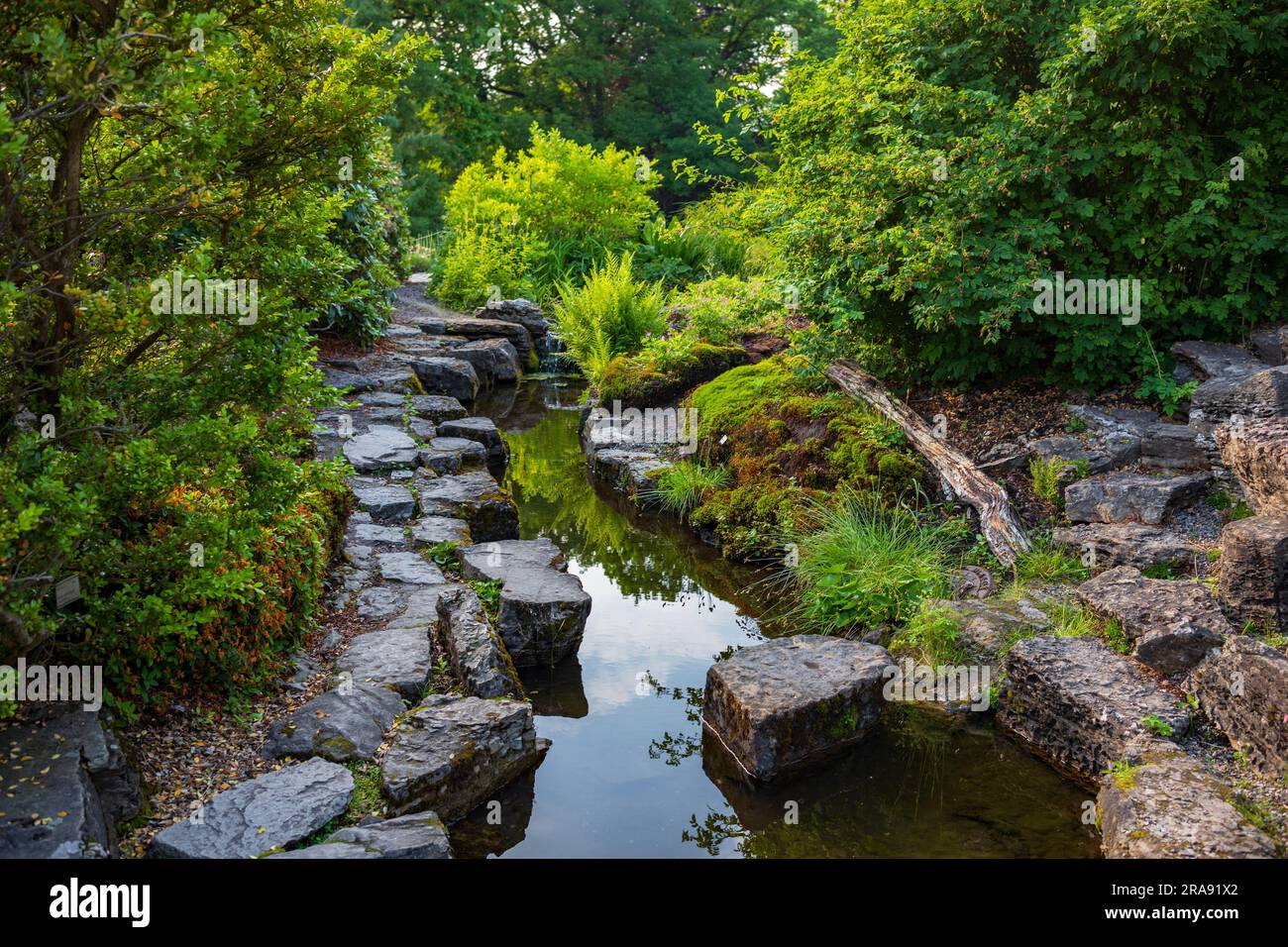 Botanisk hage est le plus ancien jardin botanique de Norvège, une oasis d'Oslo gratuite et un endroit idéal pour échapper au bruit de la ville. Jardin aquatique avec eau Banque D'Images