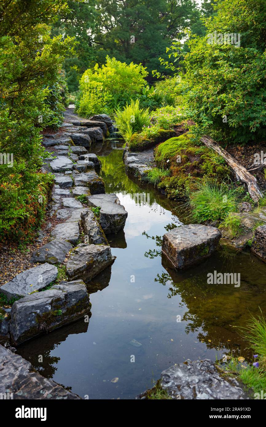 Botanisk hage est le plus ancien jardin botanique de Norvège, une oasis d'Oslo gratuite et un endroit idéal pour échapper au bruit de la ville. Jardin aquatique avec eau Banque D'Images