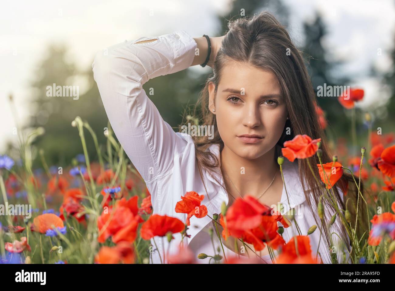 Une fille de brunette atractive avec la main dans ses cheveux pose dans un champ de coquelicots rouges. Horizontalement. Banque D'Images