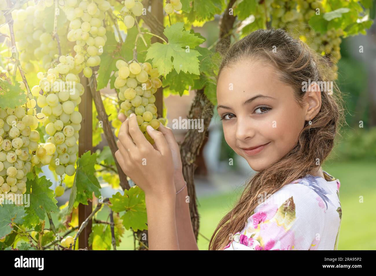 Jolie petite fille à poil long montre des raisins mûrs souriant à l'appareil photo. Concept de la récolte du vin. Banque D'Images