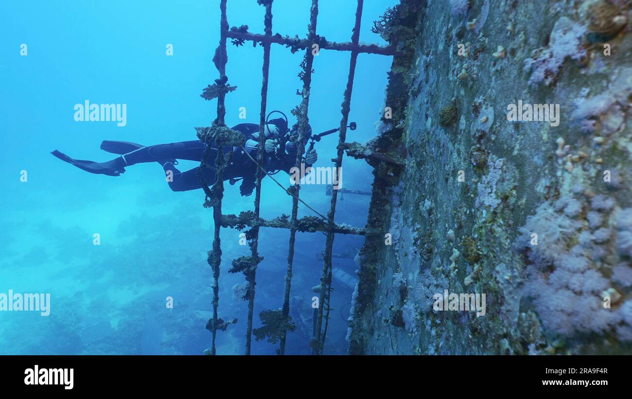 Mer Rouge, Égypte. 24th juin 2023. Pont de tournage de plongée de ferry Salem Express Shipwreck, Red Sea, Safaga, Egypte (Credit image: © Andrey Nekrasov/ZUMA Press Wire) USAGE ÉDITORIAL SEULEMENT! Non destiné À un usage commercial ! Banque D'Images