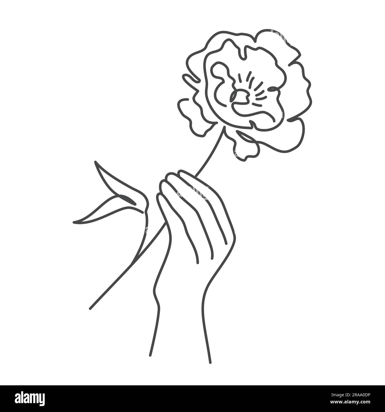 Main tenant fleur, coquelicot, pivoine. Illustration vectorielle dessinée à la main. Illustration de Vecteur