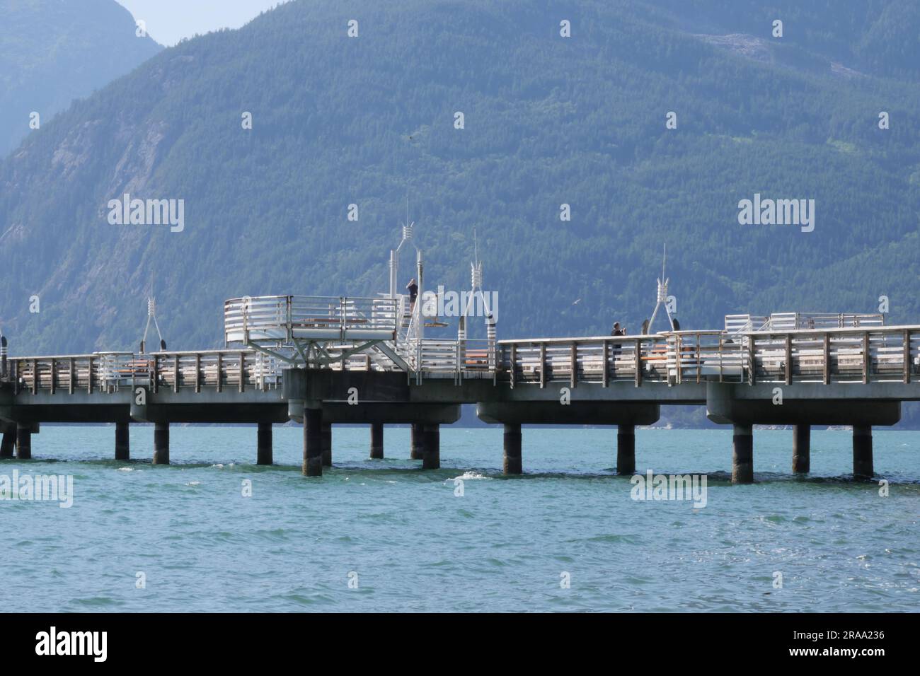 Parc provincial de Porteau Cove en été, Colombie-Britannique, Canada Banque D'Images