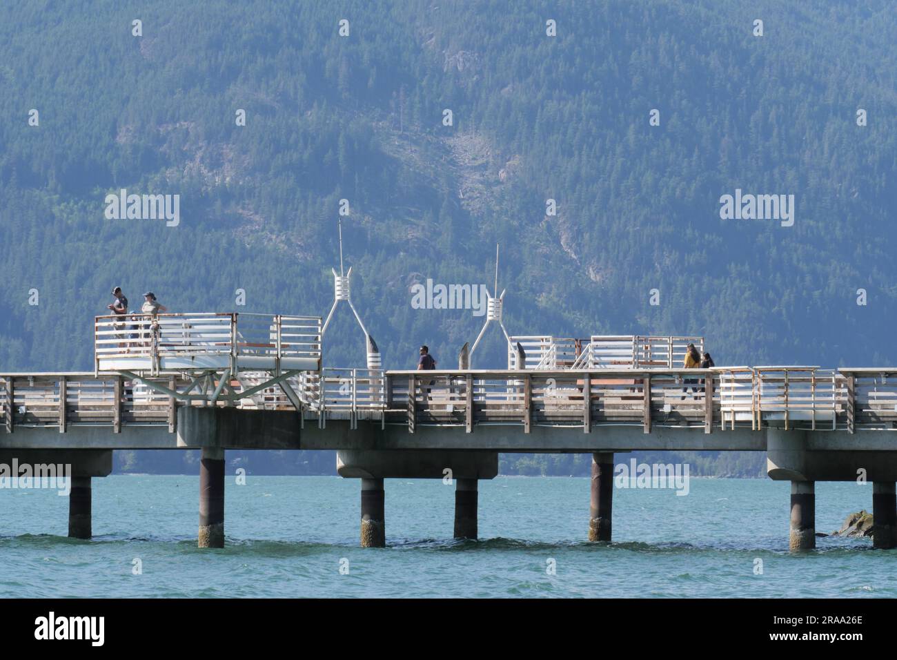 Parc provincial de Porteau Cove en été, Colombie-Britannique, Canada Banque D'Images