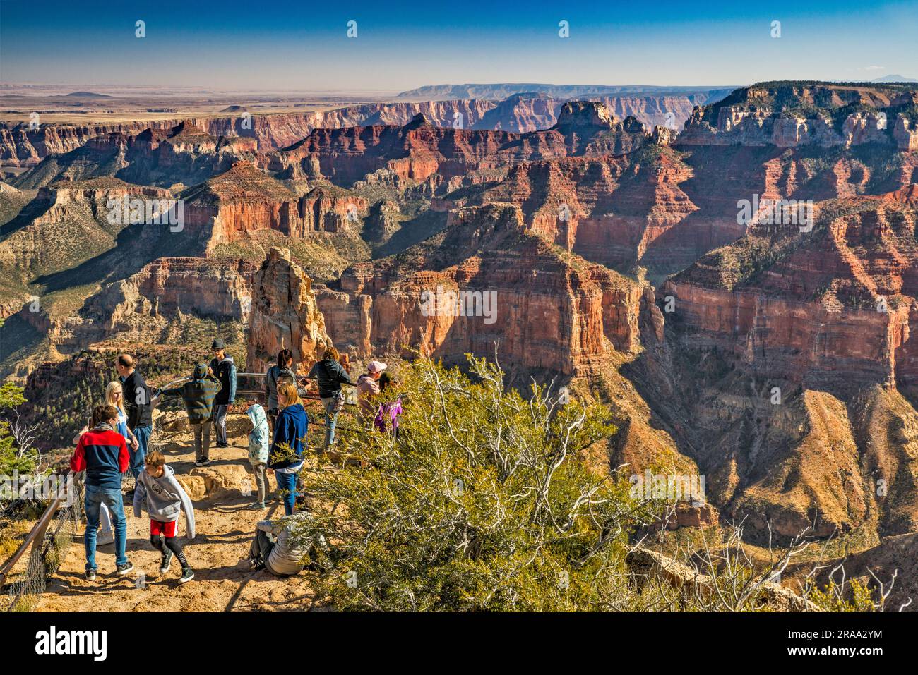 Point Imperial View, depuis le plateau de Kaibab, plateau nord, parc national du Grand Canyon, Arizona, États-Unis Banque D'Images