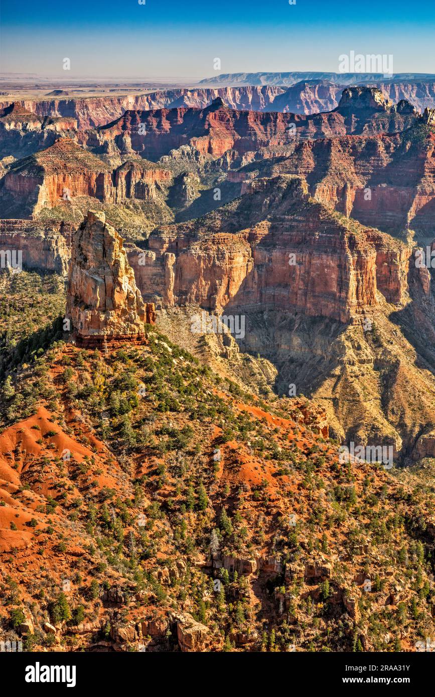 Point Imperial View, depuis le plateau de Kaibab, plateau nord, parc national du Grand Canyon, Arizona, États-Unis Banque D'Images