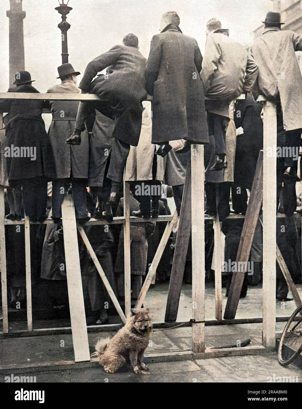 Les stands temporaires, construits le long de la voie de procession, remplis de personnes observant la répétition du Couronnement avant l'événement réel le 12 mai 1937. Pendant ce temps, un chien de chow obéissant attend patiemment son propriétaire sur le trottoir ci-dessous. Date: 1937 Banque D'Images