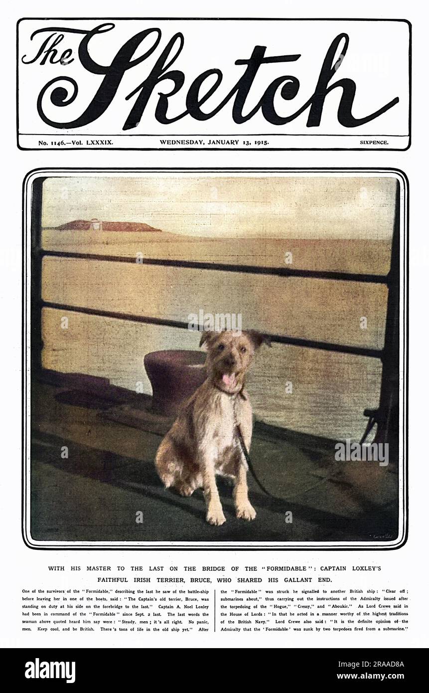 Couverture du magazine The Sketch avec un portrait de Bruce, le fidèle terrier irlandais appartenant au capitaine Noel Loxley de H.M.S formidable, qui est resté galléant avec son maître jusqu'au dernier sur le pont alors que le navire de bataille a coulé après avoir été frappé par des torpilles. Date: 1915 Banque D'Images