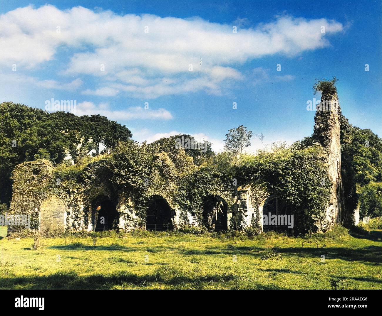 Abbaye de Waverley, près de Farnham, Surrey, Angleterre. Fondée par William Gifford, évêque de Winchester, elle fut la première abbaye cistercienne d'Angleterre. Date : fondée en 1128 Banque D'Images