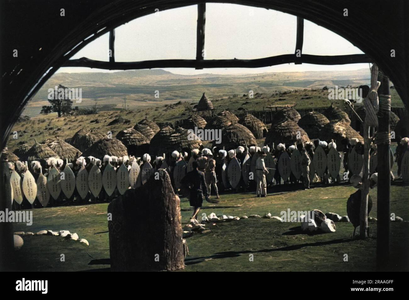 Une ligne de guerriers Zulu tenant leurs boucliers en face d'une colonie Zulu. Date: 1936 Banque D'Images