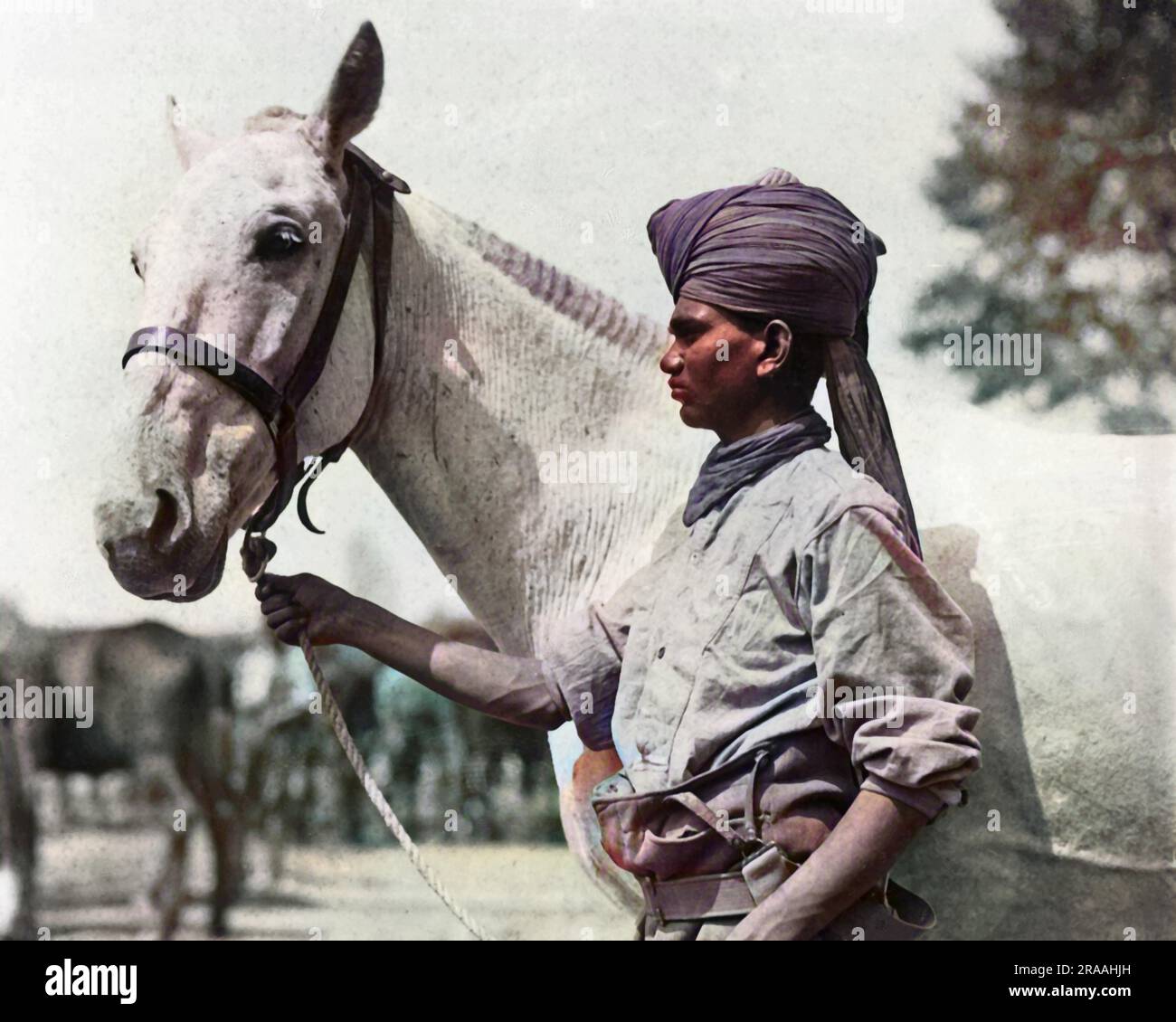 Un soldat indien avec son cheval bien entretenu sur le front occidental en France pendant la première Guerre mondiale. Date: Vers 1916 Banque D'Images