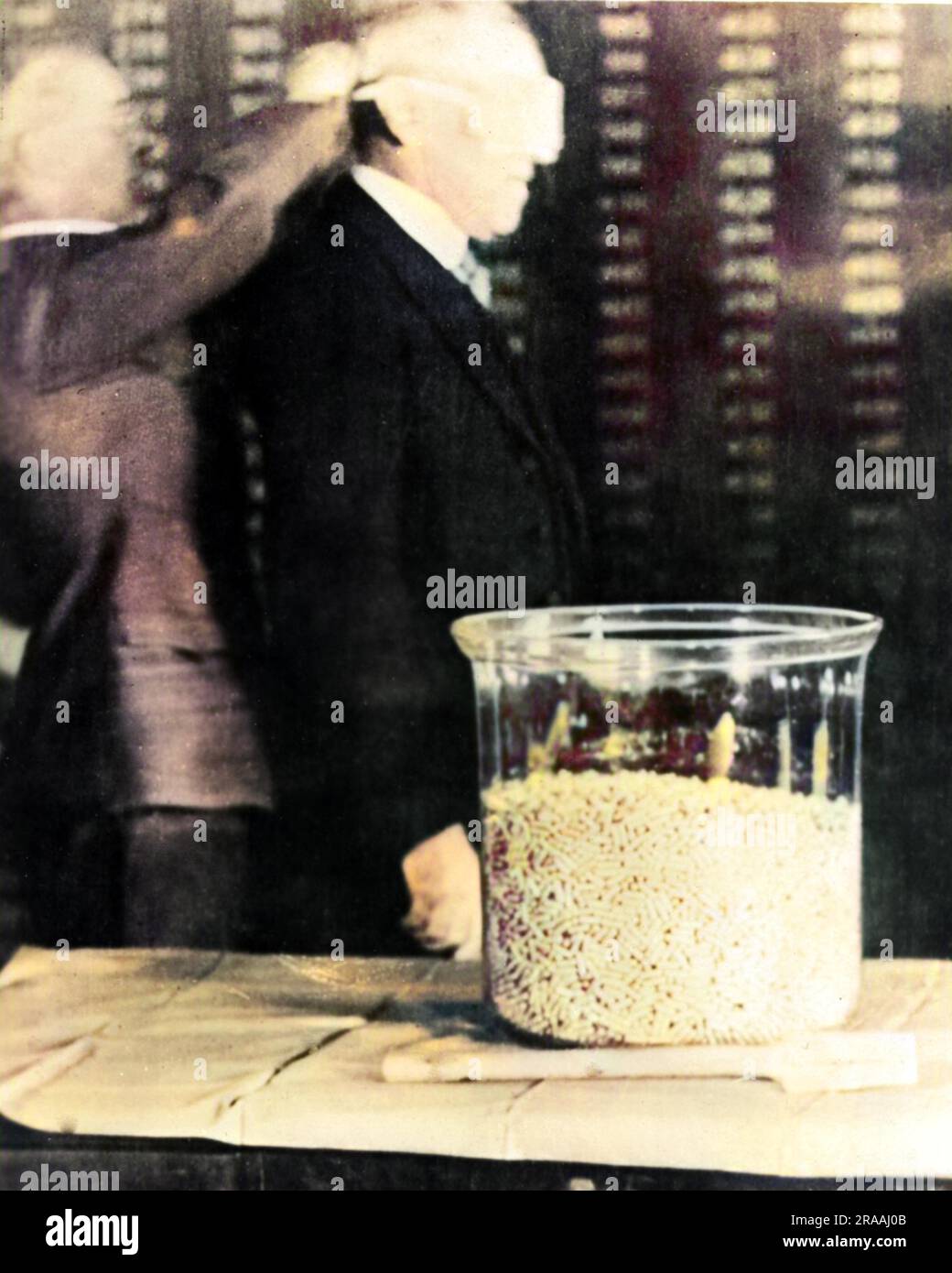 Le président Woodrow Wilson étant aveuglés avant qu'il ne fasse la première sélection de numéro de série pour les hommes américains à être rédigés en service dans la première Guerre mondiale. Date : septembre 17 Banque D'Images Le président Woodrow Wilson étant aveuglés avant qu'il ne fasse la première sélection de numéro de série pour les hommes américains à être rédigés en service dans la première Guerre mondiale. Date : septembre 17 Banque D'Images