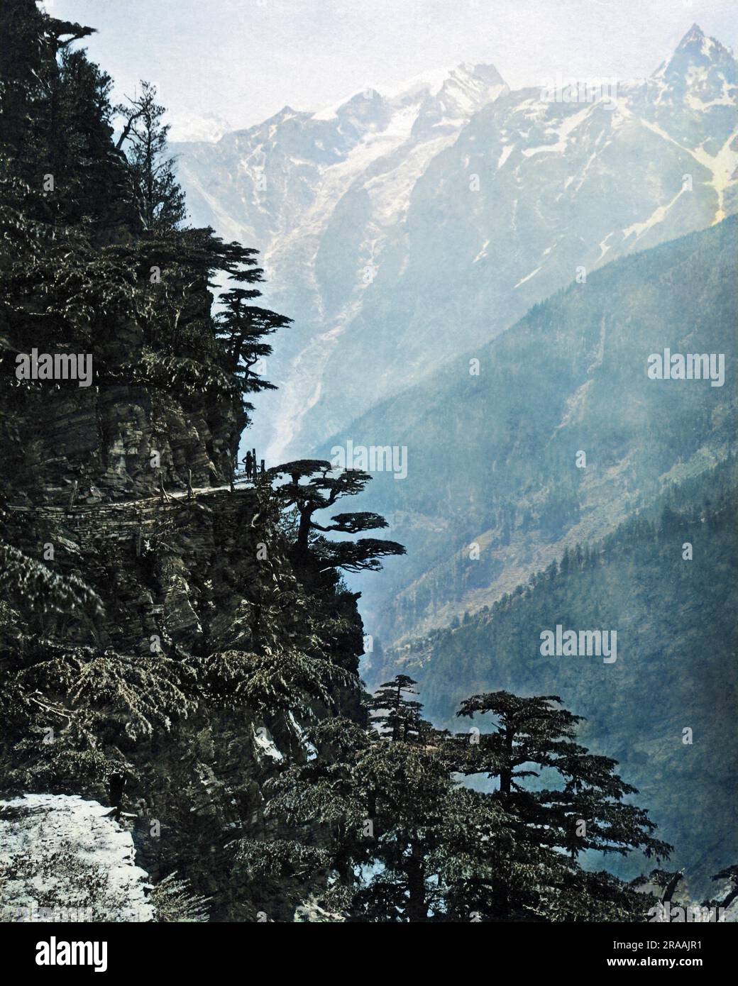 Nouvelle route à Rogi, près de Chini, Himalaya, Inde. Date: Vers 1890s Banque D'Images