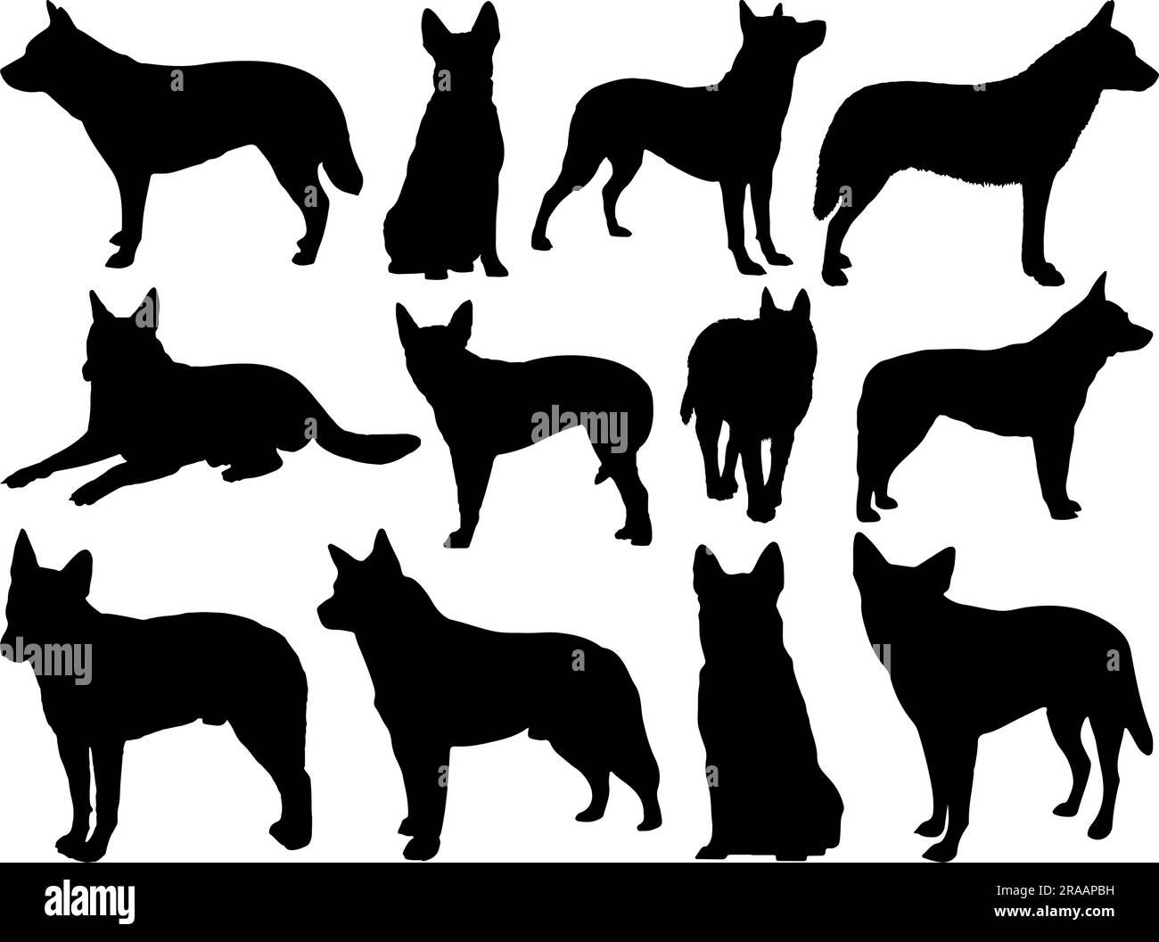 Ensemble de la silhouette australienne de chien de bétail Illustration de Vecteur