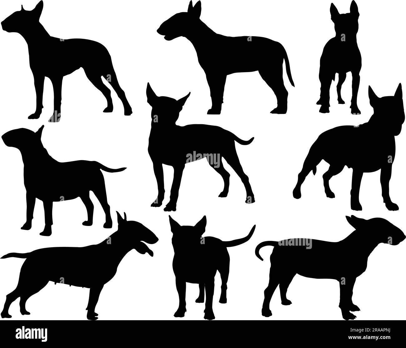 Ensemble de silhouette de chien Bull Terrier Illustration de Vecteur