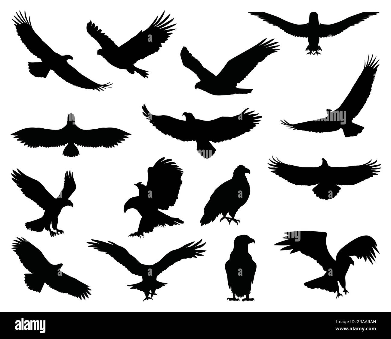 Ensemble de silhouette d'aigle Illustration de Vecteur