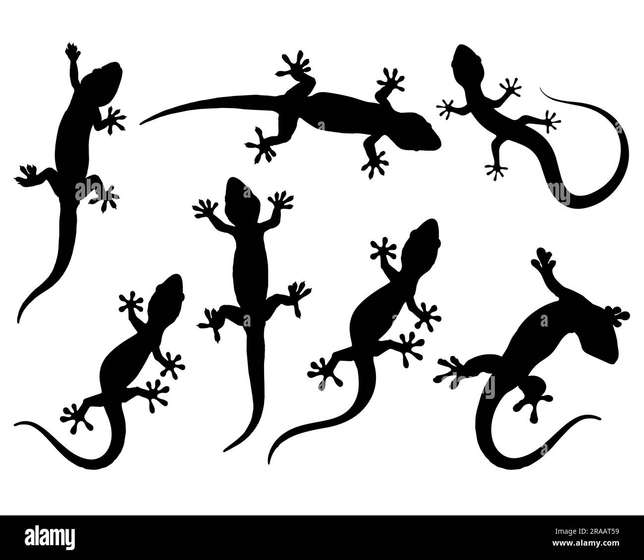 Ensemble de silhouette de Gecko Illustration de Vecteur
