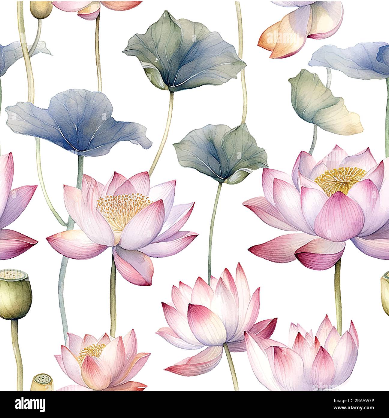 Aquarelle de motif de lili d'eau dans un style magnifique sur fond blanc. Texture d'été botanique vintage. Conception d'illustration vectorielle. Art abstrait Illustration de Vecteur