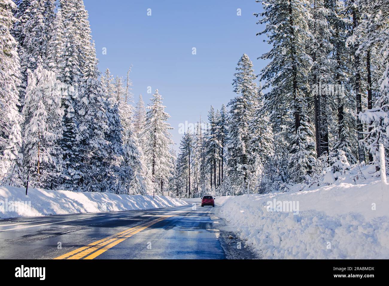 Route d'hiver à travers les arbres couverts de neige avec la conduite en voiture dans la distance, Banque D'Images