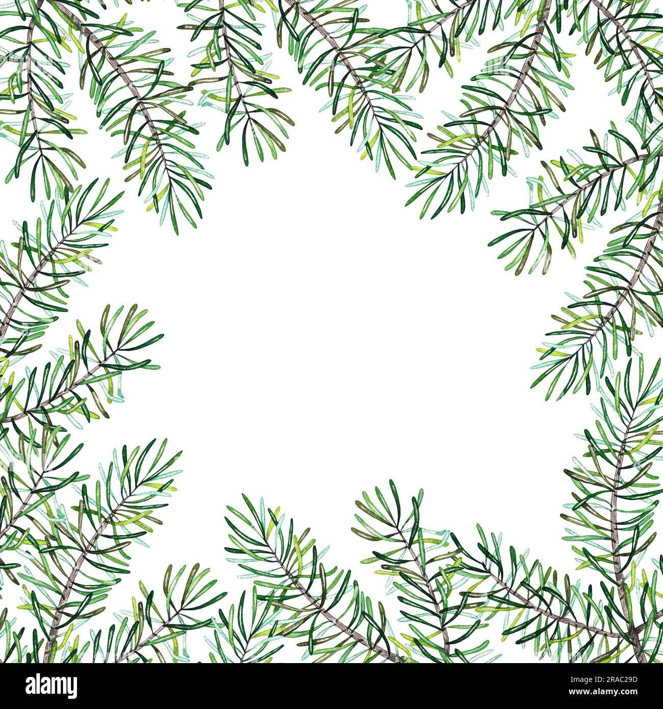 Cadre carré de conifères fait de branches de conifères sur fond blanc. Couronne de Noël à l'aquarelle dessinée à la main. Illustration de la conception de l'emballage, Banque D'Images