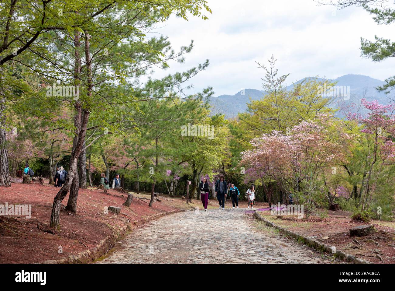 Parc de Kameyama dans le district d'Arashiyama, Kyoto, Japon, Tenryu-ji-ji site du temple de tête, Japon, Asie Banque D'Images