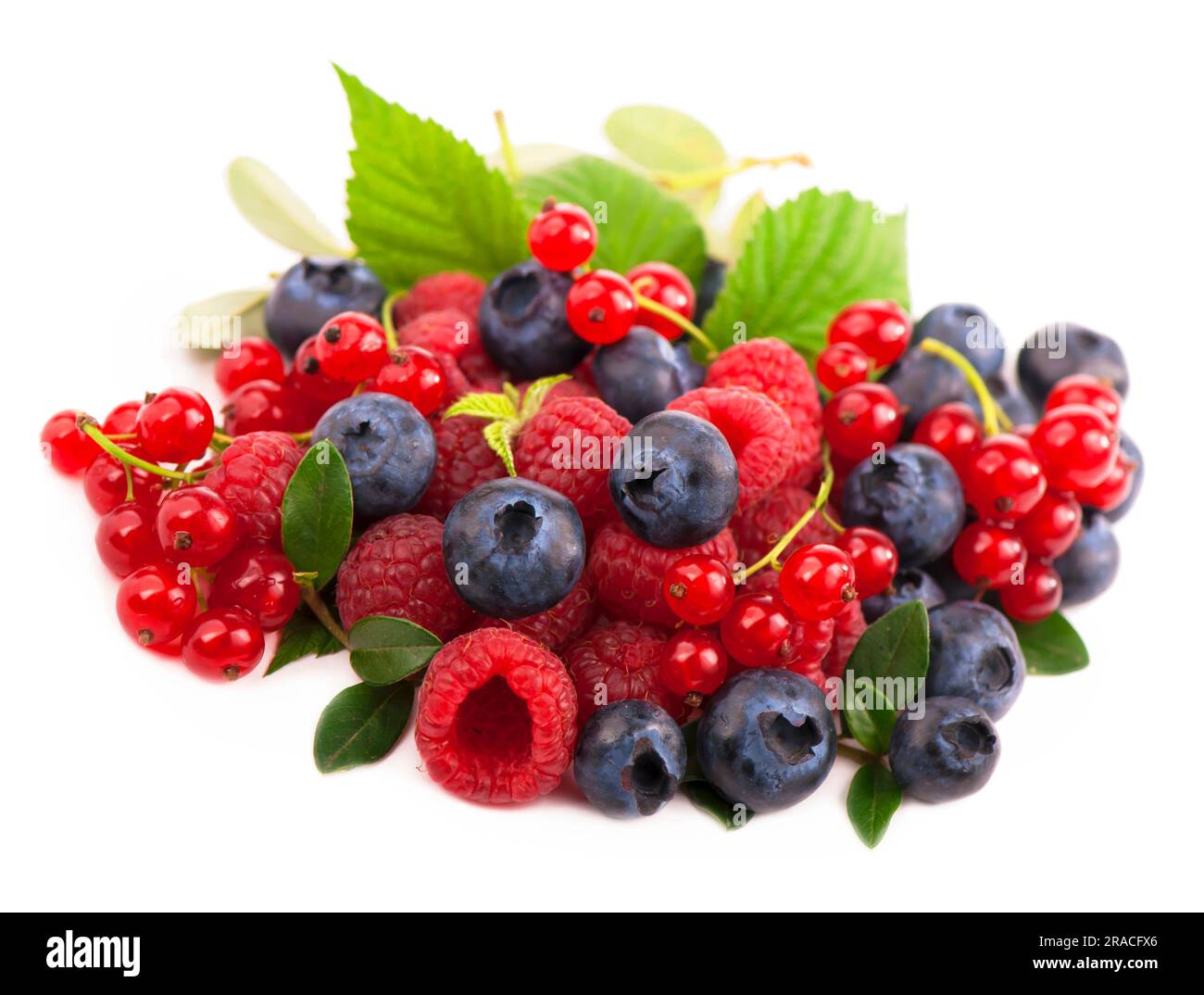 Quelques baies de bleuets, framboises, raisins de Corinthe et fraises isolées sur un blanc Banque D'Images