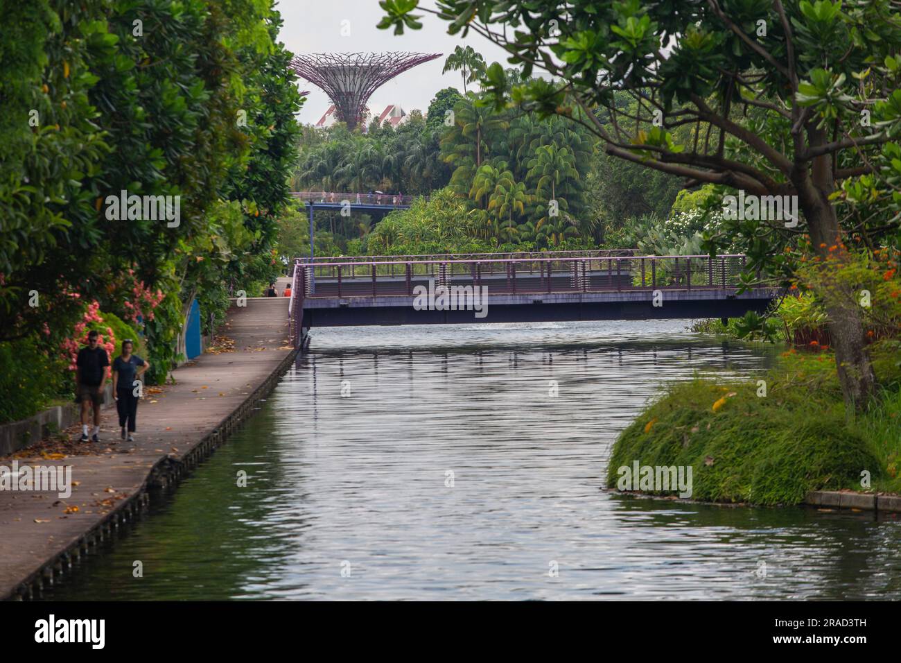 Vue panoramique à Gardens by the Bay, marche des gens, verdure luxuriante au bord du lac pour une bonne santé mentale bien-être recharge, voyage à Singapour. Banque D'Images