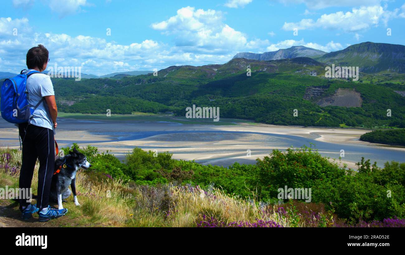 L'estuaire de Mawddach, parc national d'Eryri Banque D'Images