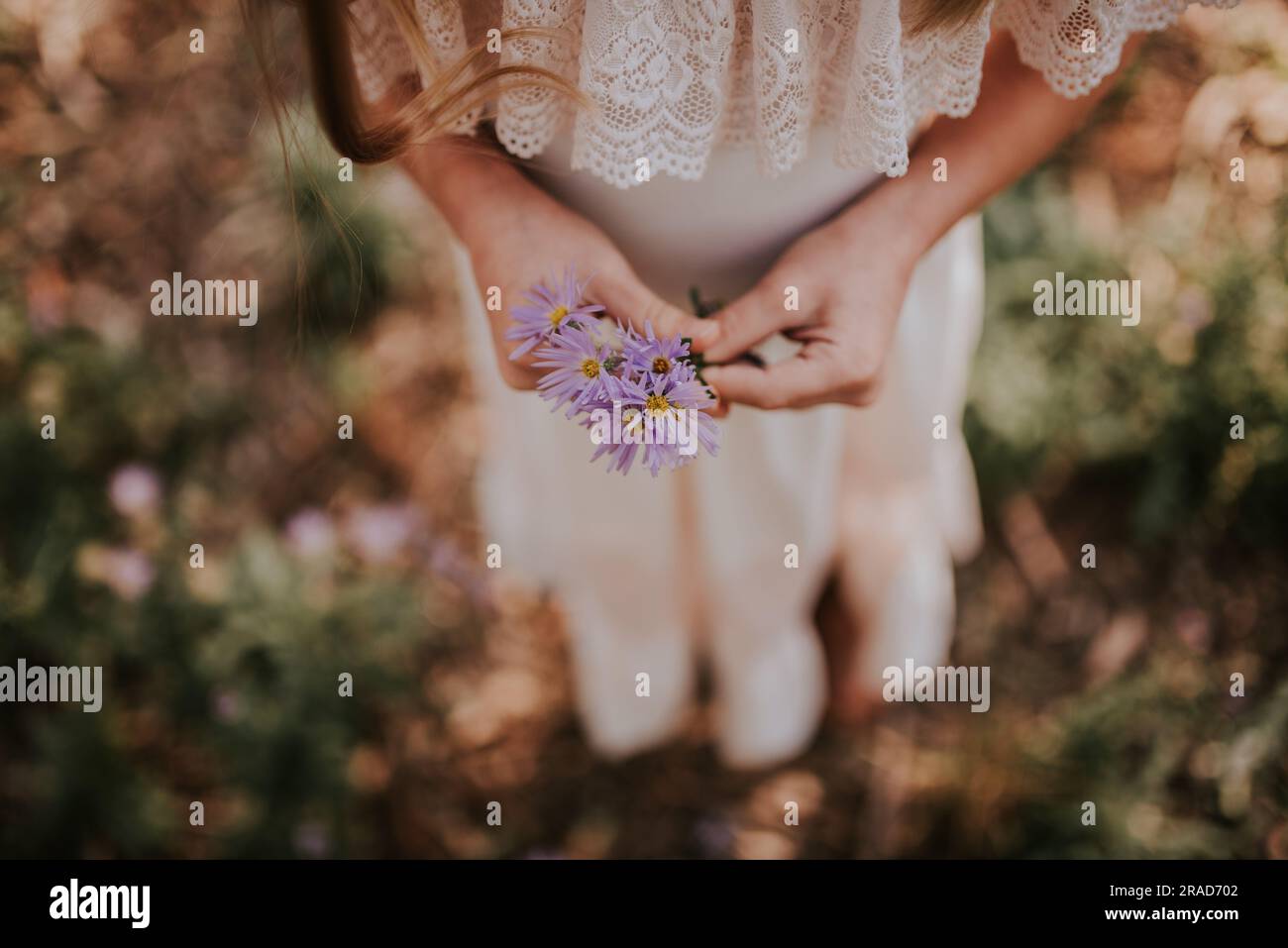 Girl holding fleurs violettes Banque D'Images