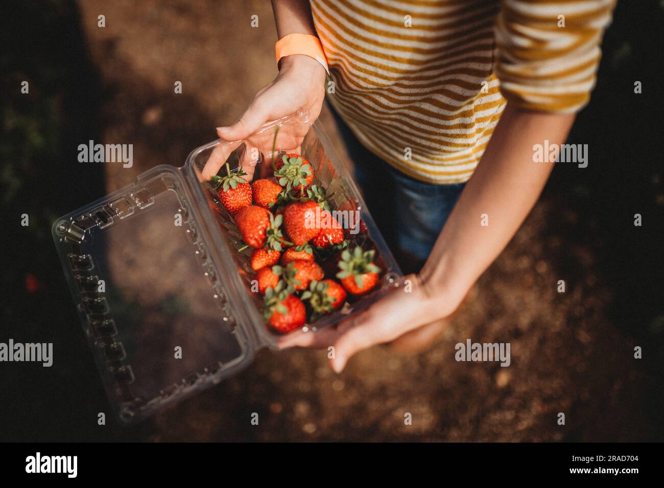Fille tenant des fraises fraîches Banque D'Images